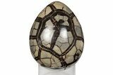 7.5" Septarian "Dragon Egg" Geode - Removable Section - #203822-1